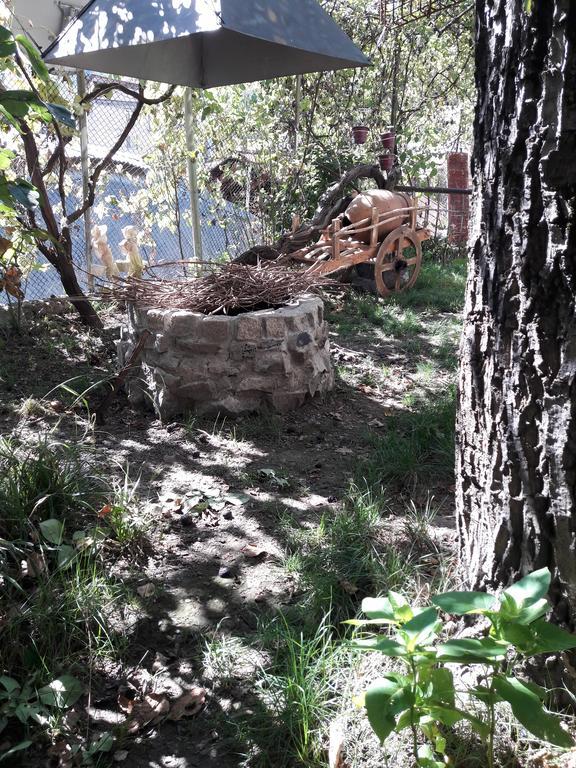 Rachvela'S Guest House Borjomi Exterior foto